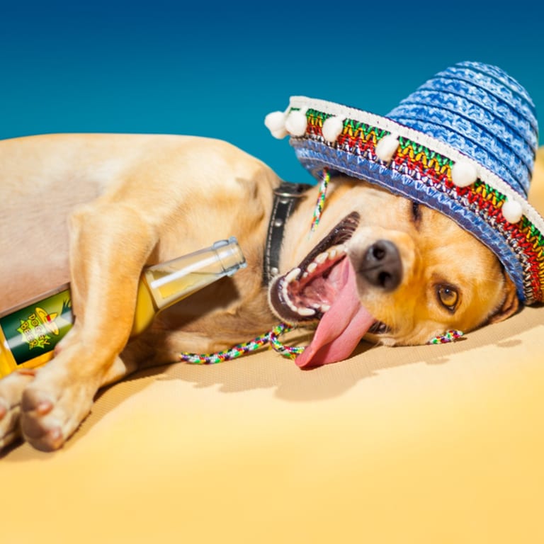  happy Hour Events
